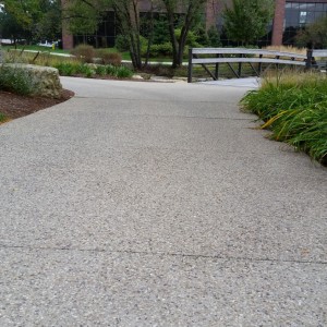 Hamilton Lakes Business Park – Exposed aggregate road