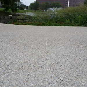 Hamilton Lakes Business Park – Exposed aggregate walk close up
