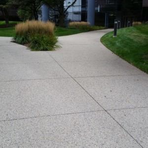 Hamilton Lakes Business Park – Exposed aggregate walk with planter