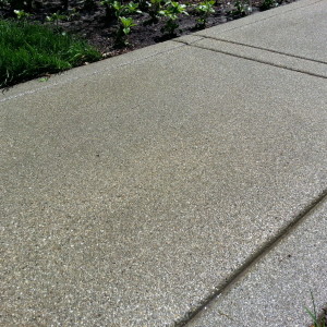 Lakeside Antique Concrete Walk – Close up of antique finishe side walk